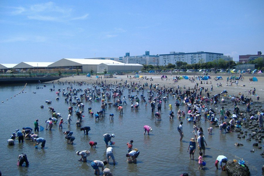 🌳 히가시오기시마 히가시 공원 이미지 6